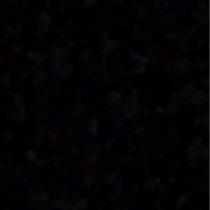 Meet your Posher, Joey